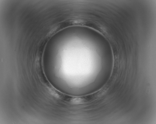 X0000082150269200702021643