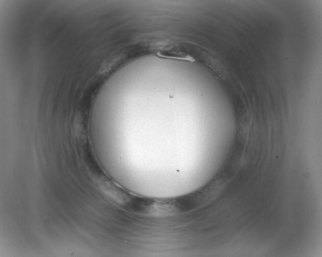 X0000082150270200702021643