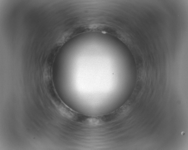 X0000082150272200702021643