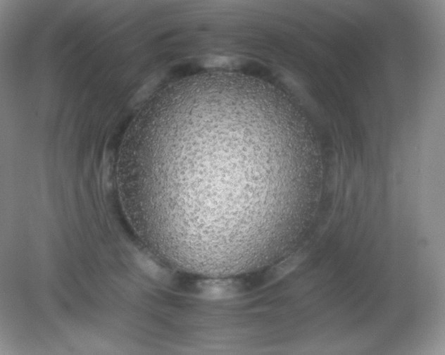 X0000082150273200702021643