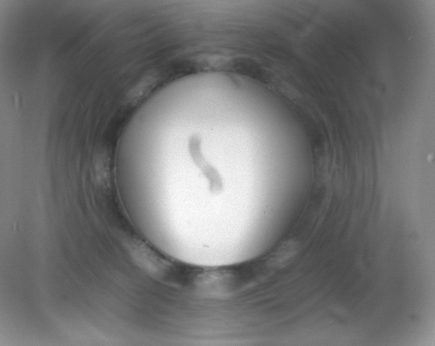 X0000082150274200702021643