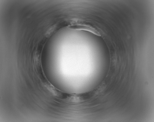 X0000082150276200702021643