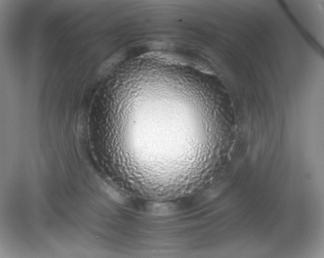 X0000082150277200702021643