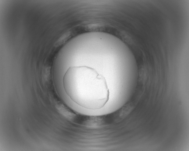 X0000082150278200702021643