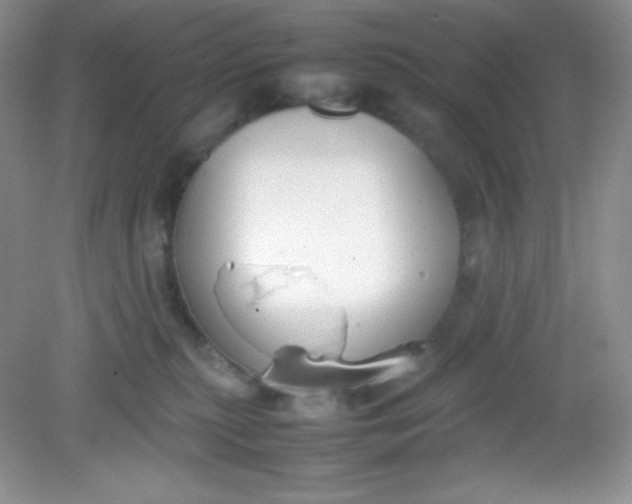 X0000082150279200702021643