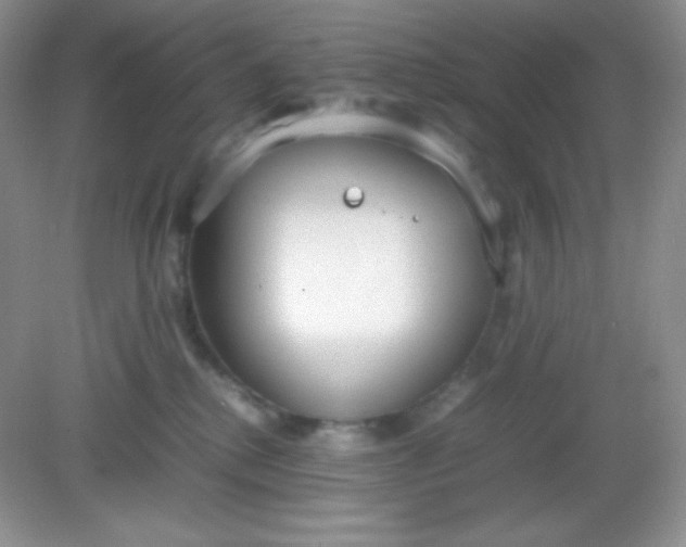 X0000082150280200702021643