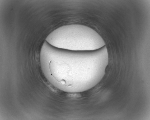 X0000082150281200702021643