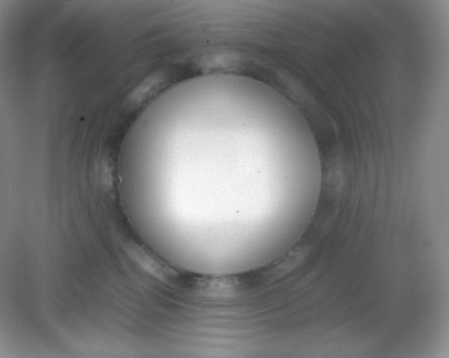 X0000082150282200702021643