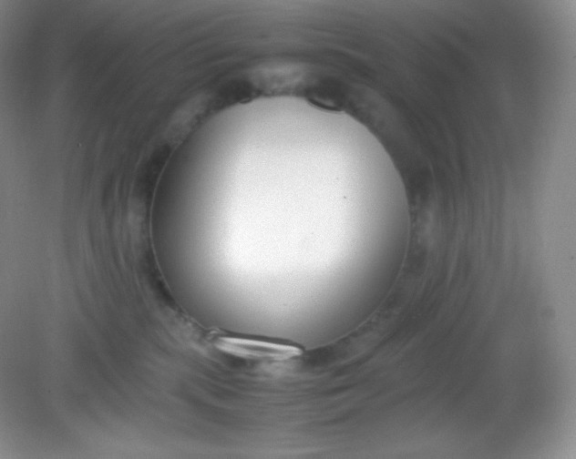 X0000082150283200702021643