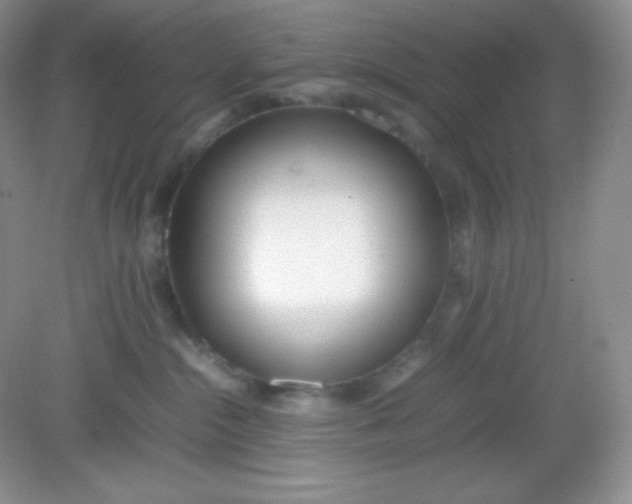 X0000082150284200702021643