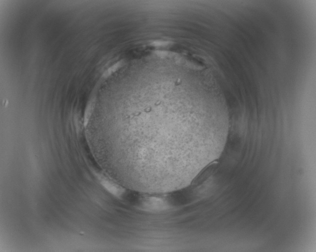 X0000082150285200702021643