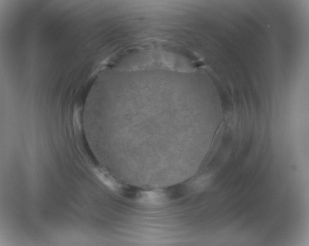 X0000082150286200702021643