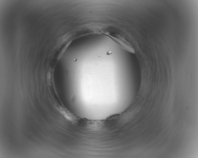 X0000082150288200702021643