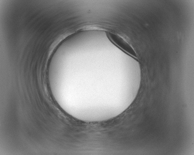 X0000082150289200702021642