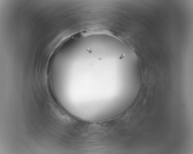 X0000082150290200702021642