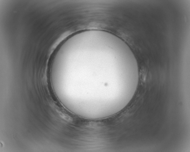 X0000082150292200702021642