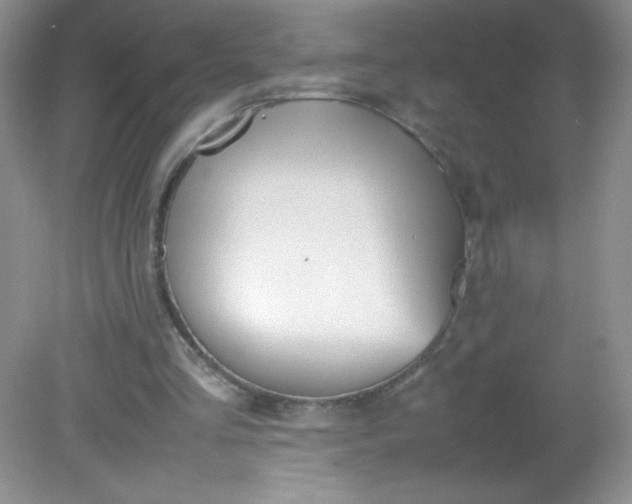 X0000082150293200702021642