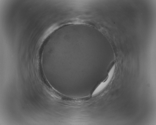 X0000082150295200702021642