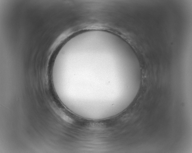 X0000082150296200702021642