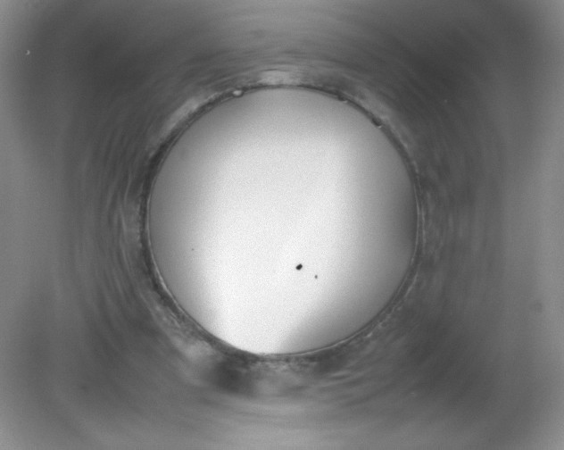 X0000082150297200702021642