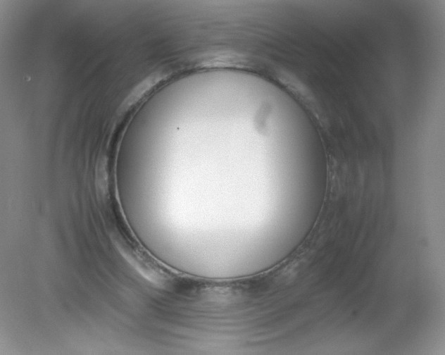 X0000082150298200702021642