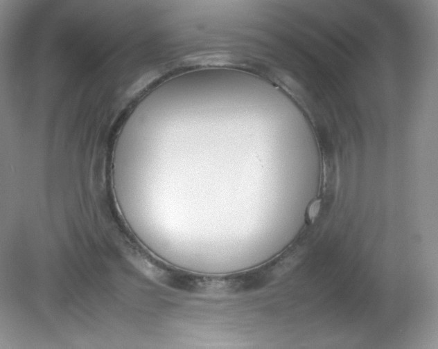 X0000082150301200702021642