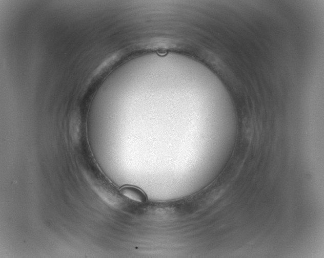 X0000082150304200702021642