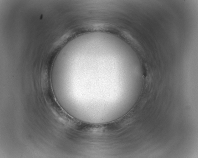 X0000082150306200702021642