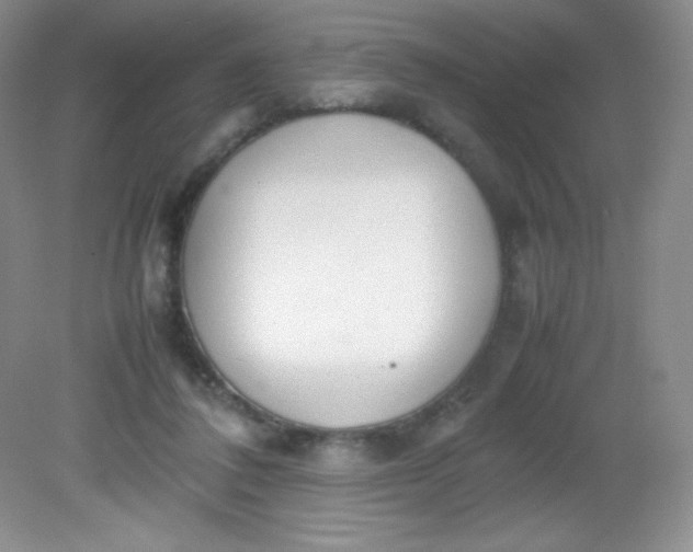 X0000082150308200702021642