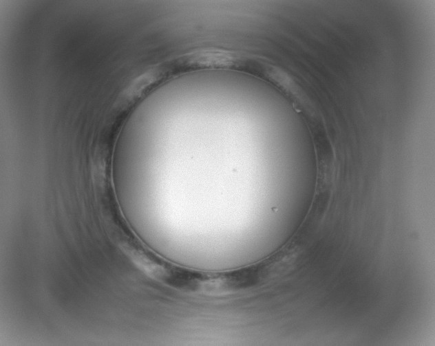 X0000082150309200702021642