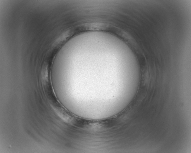 X0000082150310200702021642