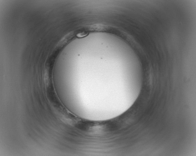 X0000082150312200702021642