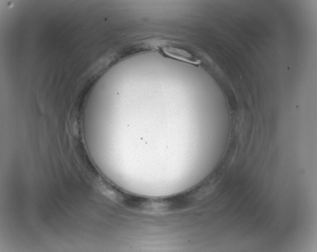 X0000082150313200702021642