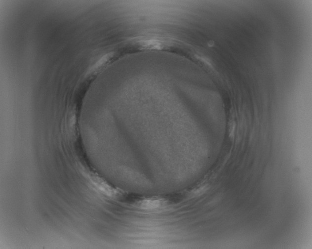 X0000082150314200702021642