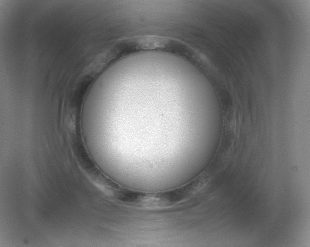 X0000082150315200702021642