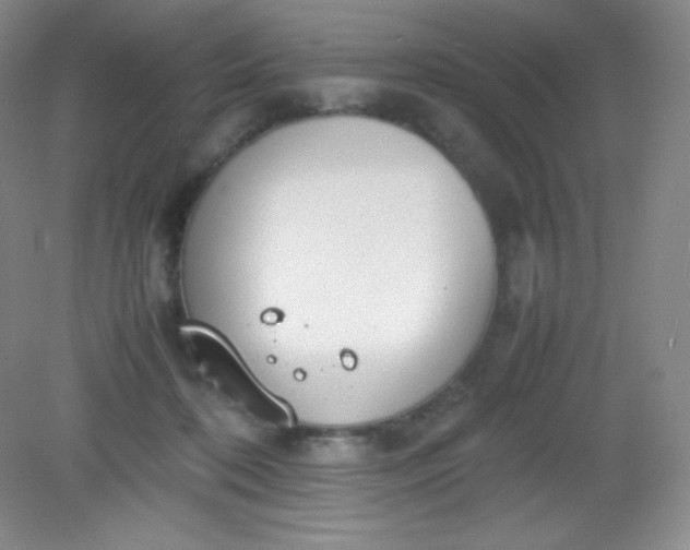 X0000082150316200702021642