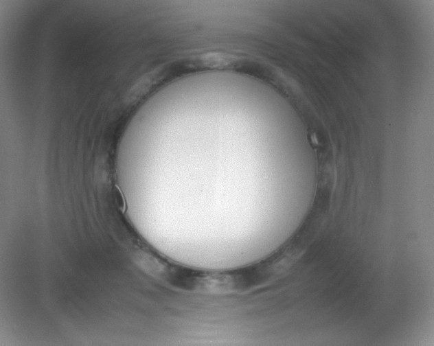 X0000082150317200702021642