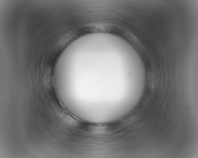 X0000082150318200702021642