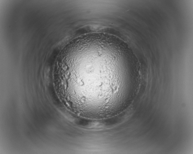 X0000082150319200702021642