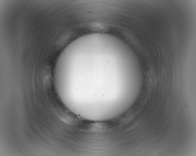 X0000082150320200702021641