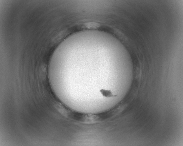 X0000082150321200702021641