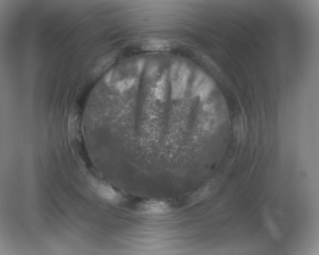 X0000082150322200702021641