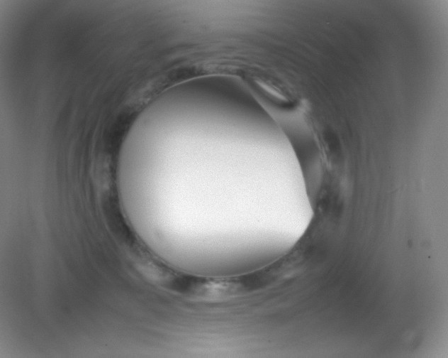 X0000082150323200702021641