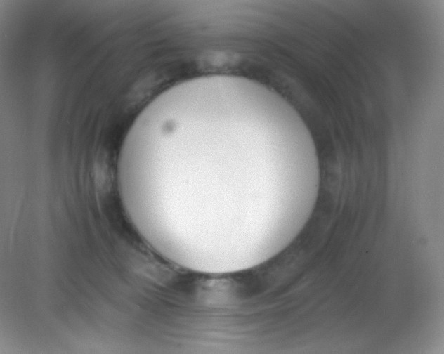 X0000082150324200702021641