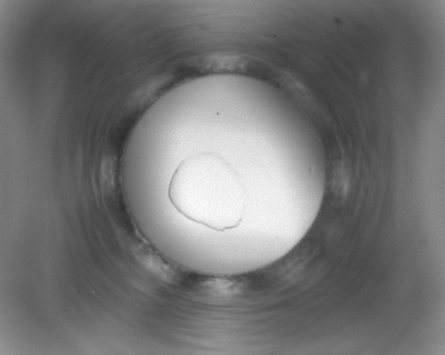 X0000082150326200702021641