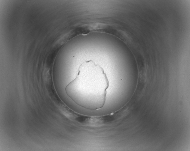 X0000082150327200702021641