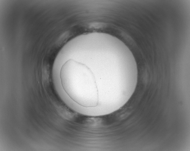 X0000082150328200702021641