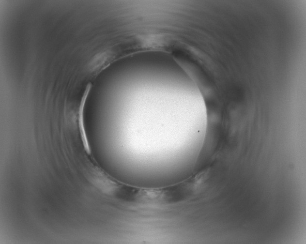 X0000082150329200702021641