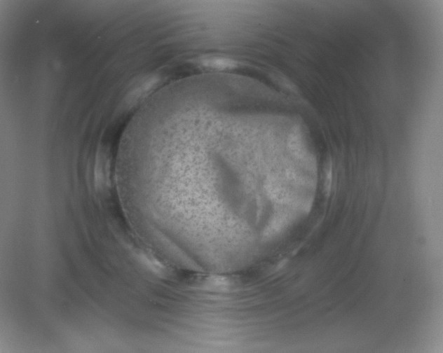 X0000082150330200702021641