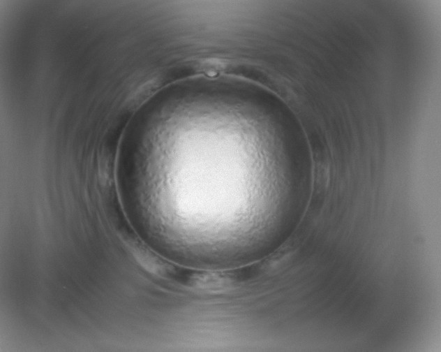 X0000082150331200702021641